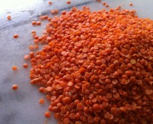 Simple Lentil Soup